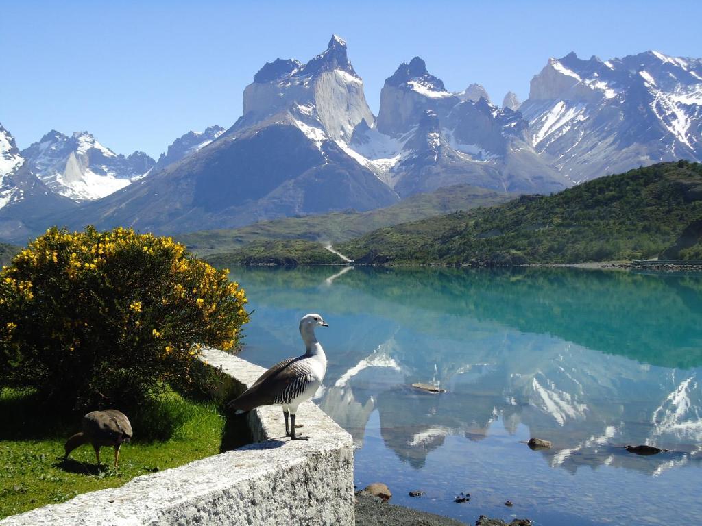 Hosteria Pehoe Torres del Paine National Park Exteriör bild